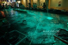 대구동성로실내낚시터/낚시카페 이색데이트네