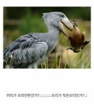 진짜 큰 새가 있어요