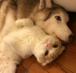 베프^^♡