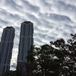 [부산여행 숙소] 해운대 동백섬 주변의 뷰가 좋은 에어비앤비