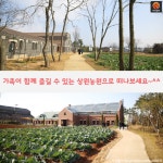 [어디갈까 추천나들이] 고창 상하농원~!