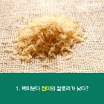 다이어트에 관한 오해와 진실 7가지