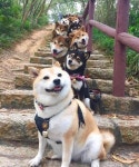 시바 산악회~~