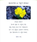 오늘의 지혜