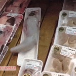 싱싱한 생선