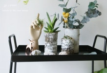 플랜테리어 자연을 담은 화분소품 만들기