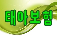 태아실비보험 태아보험 태아보험비교사이트 태아보험특약 태아보험추천 