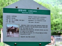 서울대공원 동물원, 테마가든 장미원 축제에서 사랑을♥♡♥