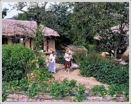 그 옛날의 그 집