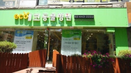 기니피그 방광염.기관지염으로 치료-에코 동물병원에서