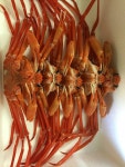 독도새우(꽃새우),홍게 를 소개시켜 줄께요...정말 싸요..