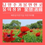 남양주 가볼만한곳 데이트코스 북한강 물의정원 꽃양귀비