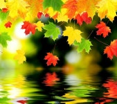 어느 가을날의 그리움