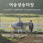 제주도승마| 어승생승마장