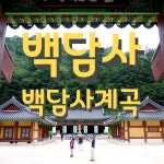 강원도 인제 가볼만한곳 백담사, 백담사계곡 가을 여행지 추천