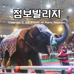 제주실내관광지 점보빌리지 