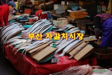 부산을 찾는다면 한 번쯤은 가볼만한 곳/부산 자갈치시장