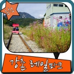 춘천 당일치기 강촌 레일파크 김유정역 다녀오십쇼