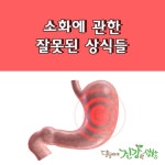 소화에 관한 잘못된 상식들