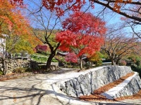 지리산 가을 힐링여행