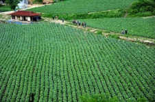 쉽게 일 할 수도 있다