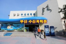 바다 속 이야기에 빠져봐? 부산 어린이와 가볼 만한 곳 / 부산수산과학관