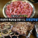 강남역 고기집, 한우 회식 전문 모범갈빗살