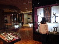 서울 체험학습 약령시 한의약박물관 