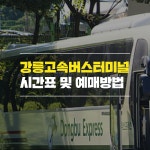 강릉 고속버스터미널 시간표 강릉 가볼만한곳 강릉 여행코스