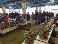 포항 갈만한곳 죽도시장 그리고 제철 맞이한 포항 과메기 구입