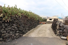 [애월 흑돼지 맛집] 구이사이 식당