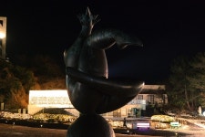 제주 조각공원 포레스트판타지아 화려한 야경 테마파크 야간 관람