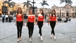 뜻밖의 머리끄댕이...