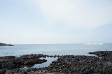 제주공항 근처 숙소 낭만제주펜션 모두 마음에쏙