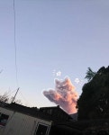 지붕위에 고양이 구름