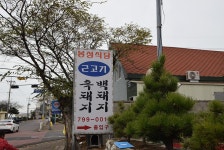 [곽지과물해변 맛집] 봉성식당