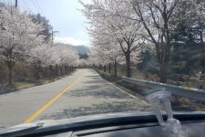 아이들과 주말나들이는 마루펜션에서~