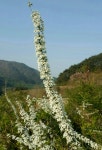 근심을 내려 놓자