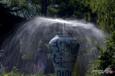 양수리 세미원 나들이~