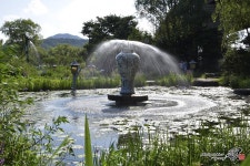 양수리 세미원 나들이~