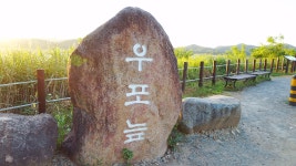 경남 창녕 우포늪 출렁다리 생생영상- 드라이브 코스
