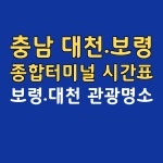 대천.보령종합터미널 시간표-보령.대천 관광명소