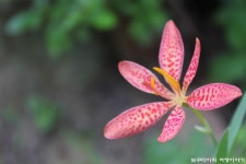 울진 불영사, 울진가볼만한곳 울진여행코스