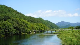 전남 관광명소 화순 가을여행코스 화순동복연둔리숲정이-사진찍기 좋은곳 뮤직비디오. CF, 드라마 촬영지로 추천