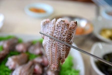 [제주 모슬포 맛집] 돈지식당