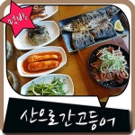 분당 가볼만한곳 여긴 가봐야해 산으로간고등어