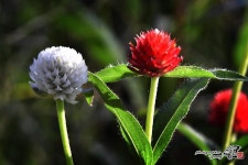  10월 가을 스케치