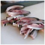 가을 별미는 무엇인가요?전어(회,구이,무침)