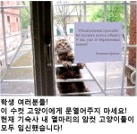 고양이가 기숙사에 못들어오는 이유