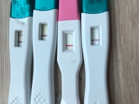 테스트기오류인가봐요